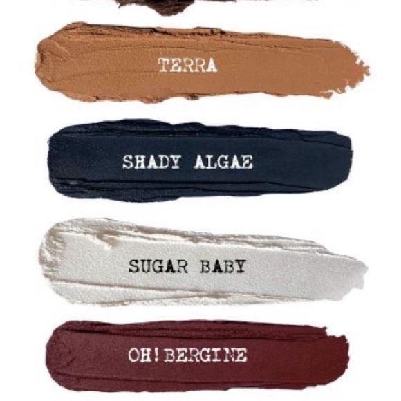 Nudestix Magnetic Eyeshadow Stick in Shady Algae Sealed - Picture 7 of 15